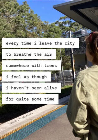 'Worm Life Balance' zine